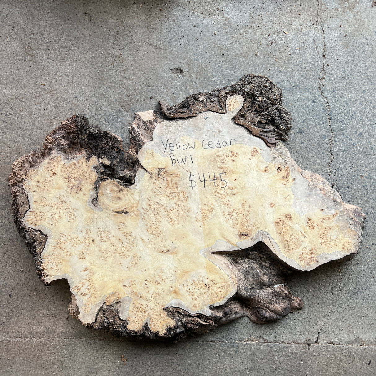 Yellow Cedar Burl 24”x16”x2”