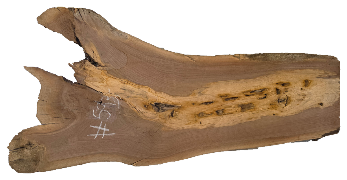 Black Walnut 10/4 Live Edge #593