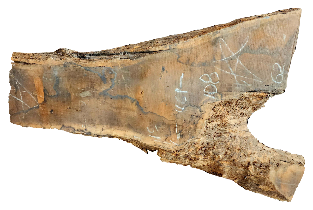 Claro Walnut Live Edge #05224