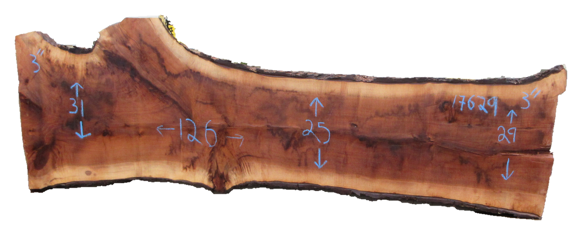 Claro Walnut Slab #17629