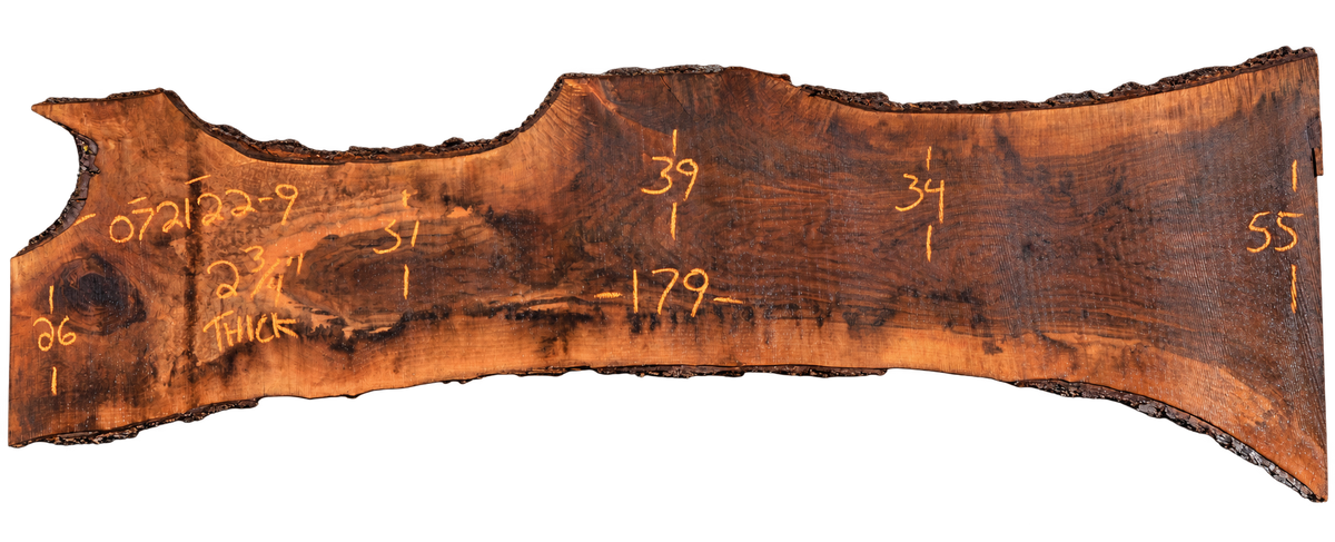 Black Walnut Live Edge #072122-09