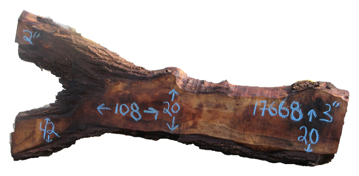 Claro Walnut Slab #17668
