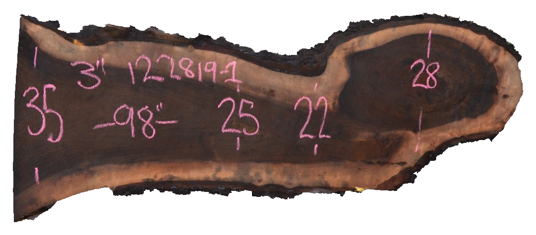 Black Walnut Live Edge #122819-1
