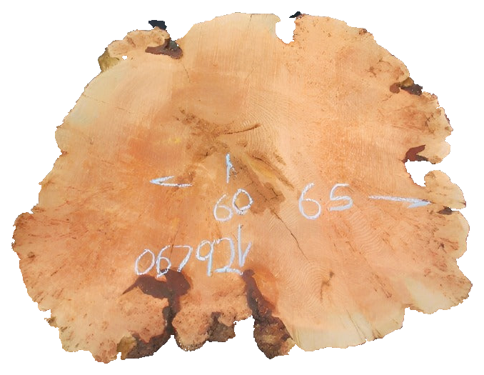 Fir Burl Live Edge #06792