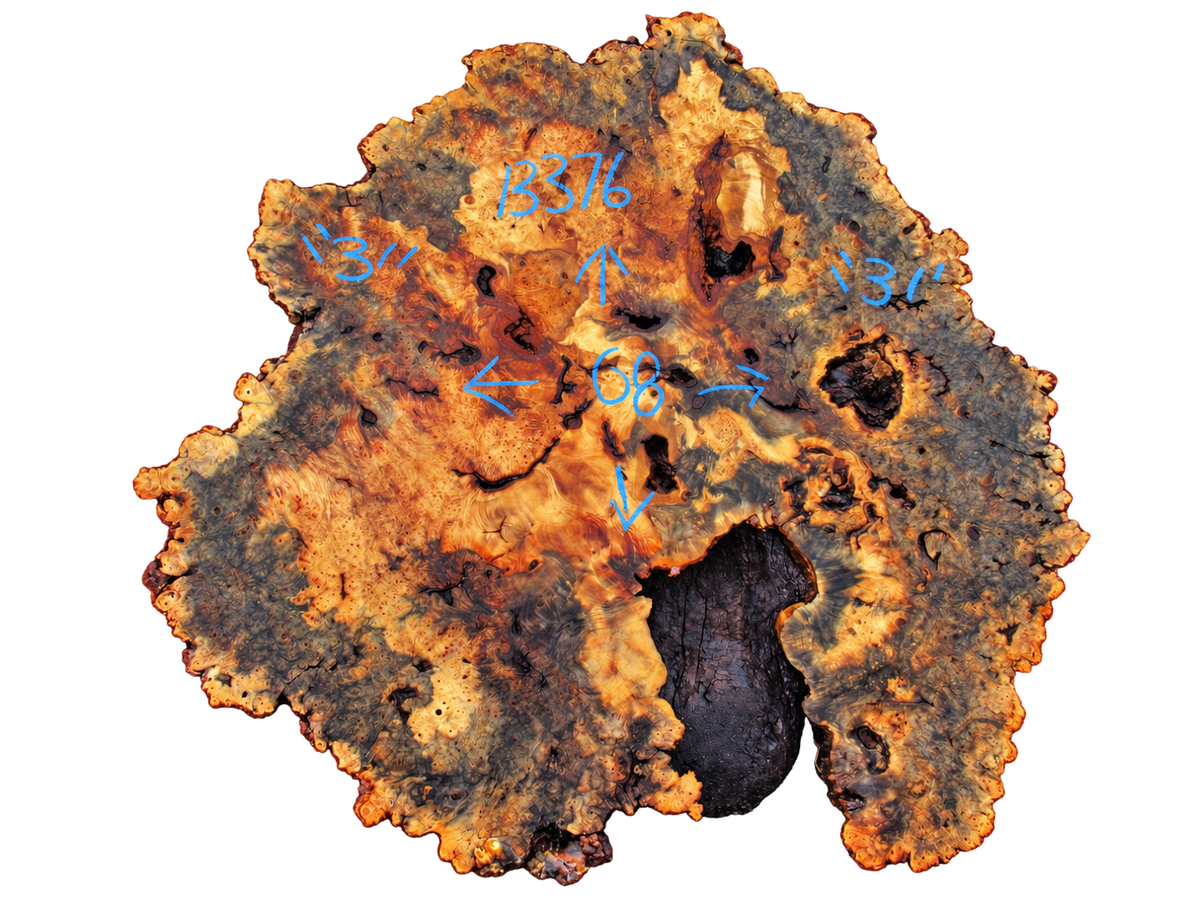 Buckeye Burl Live Edge #013