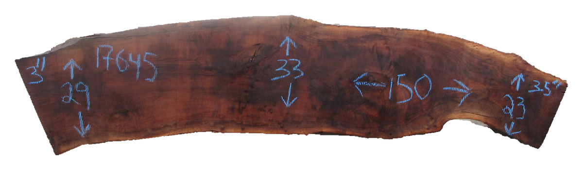 Claro Walnut Live Edge #17645