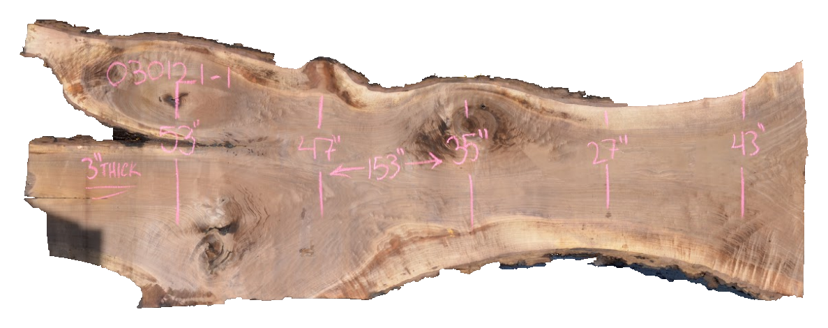Black Walnut Live Edge #030121-1