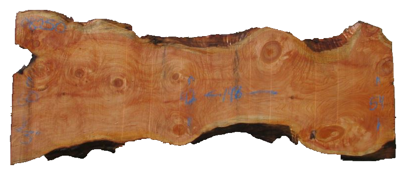 Spruce Live Edge #08250