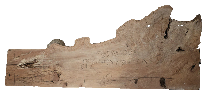 Sycamore Live Edge #07810A