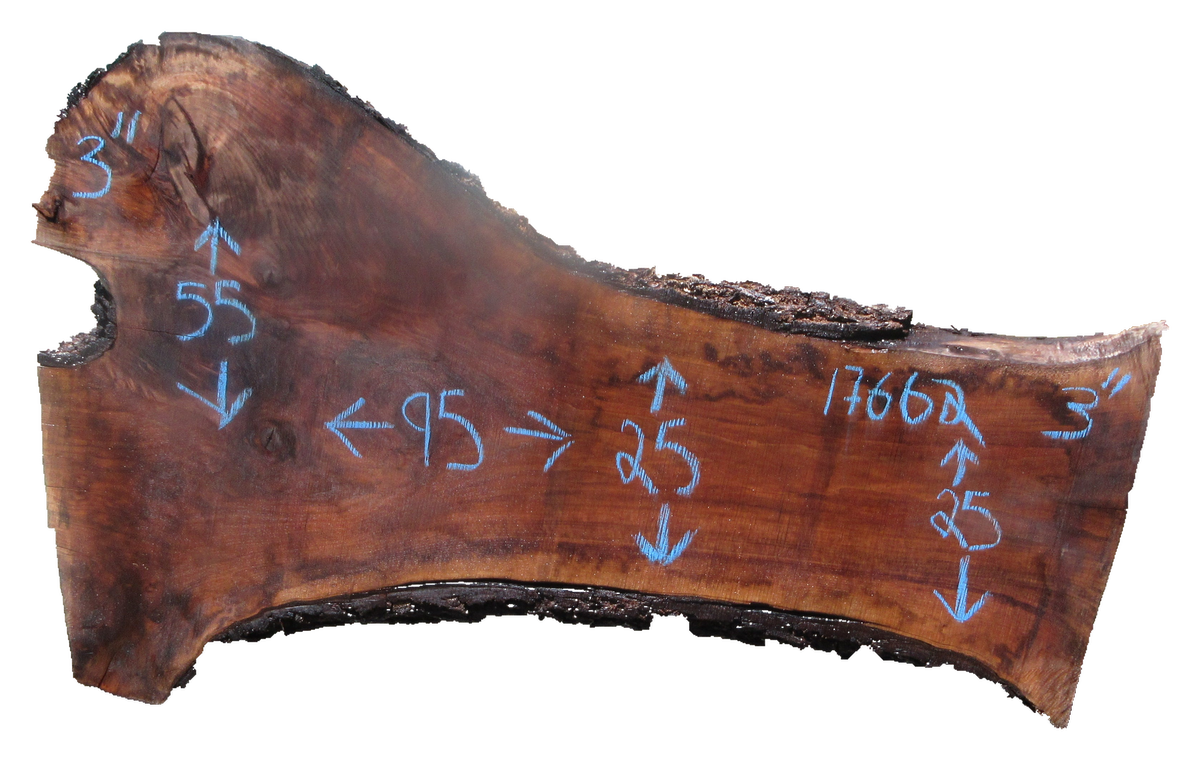 Claro Walnut Slab #17662