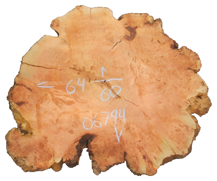 Fir Burl Live Edge #06794