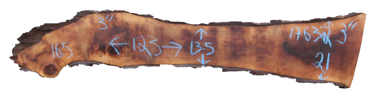 Claro Walnut Slab #17632