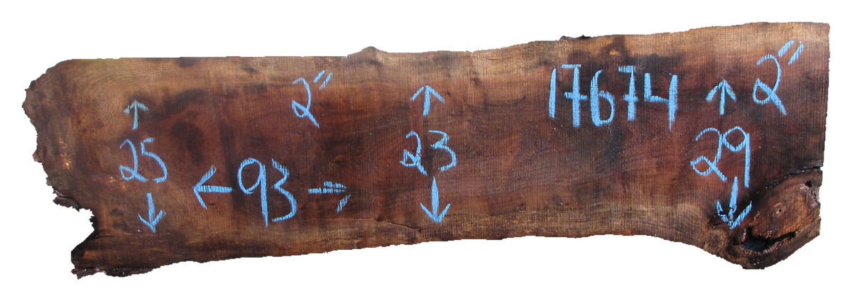 Claro Walnut Slab #17674