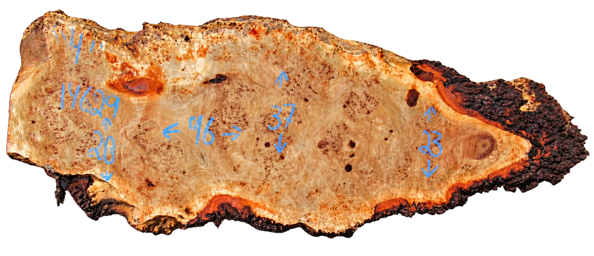 Mappa Burl Live Edge #14629