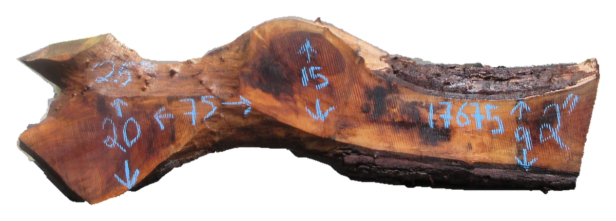 Claro Walnut Slab #17675