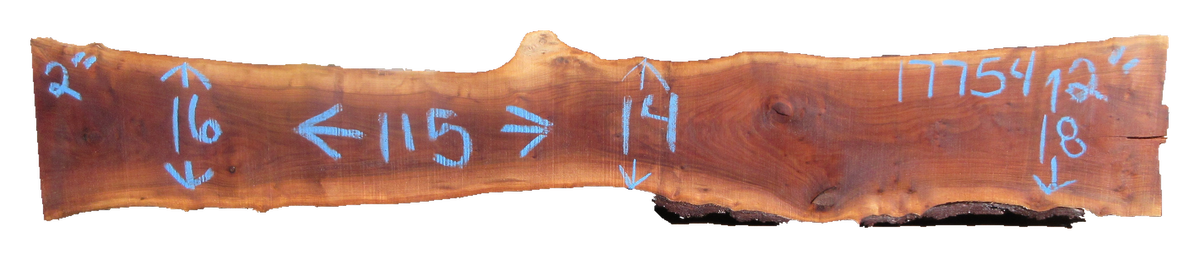 Claro Walnut Slab #17754