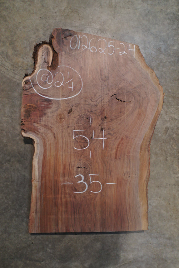 Black Walnut Live Edge #012625-24