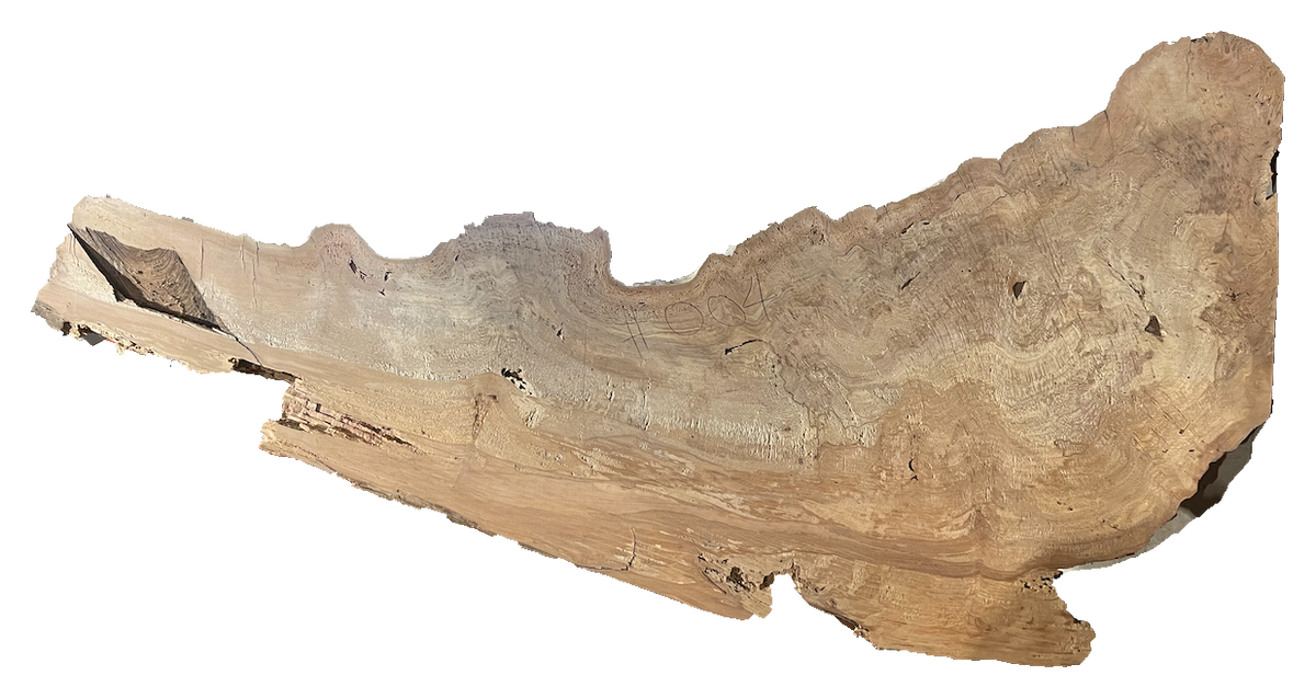 Sycamore Burl 12/4 Live Edge #004