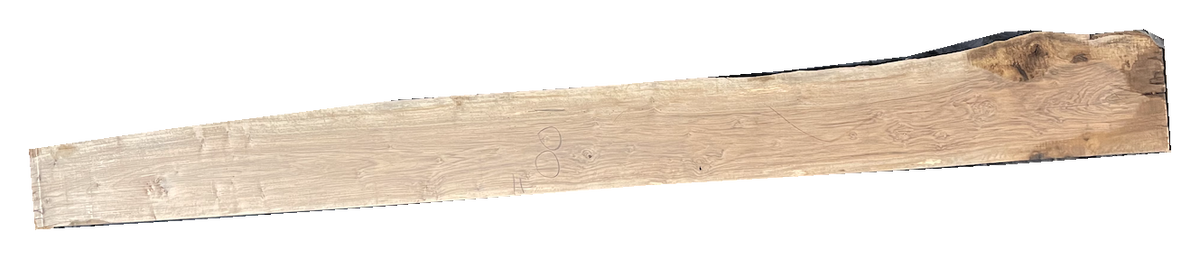 Bastogne Walnut 10/4 Live Edge #001