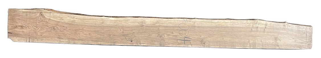 Bastogne Walnut 10/4 Live Edge #004