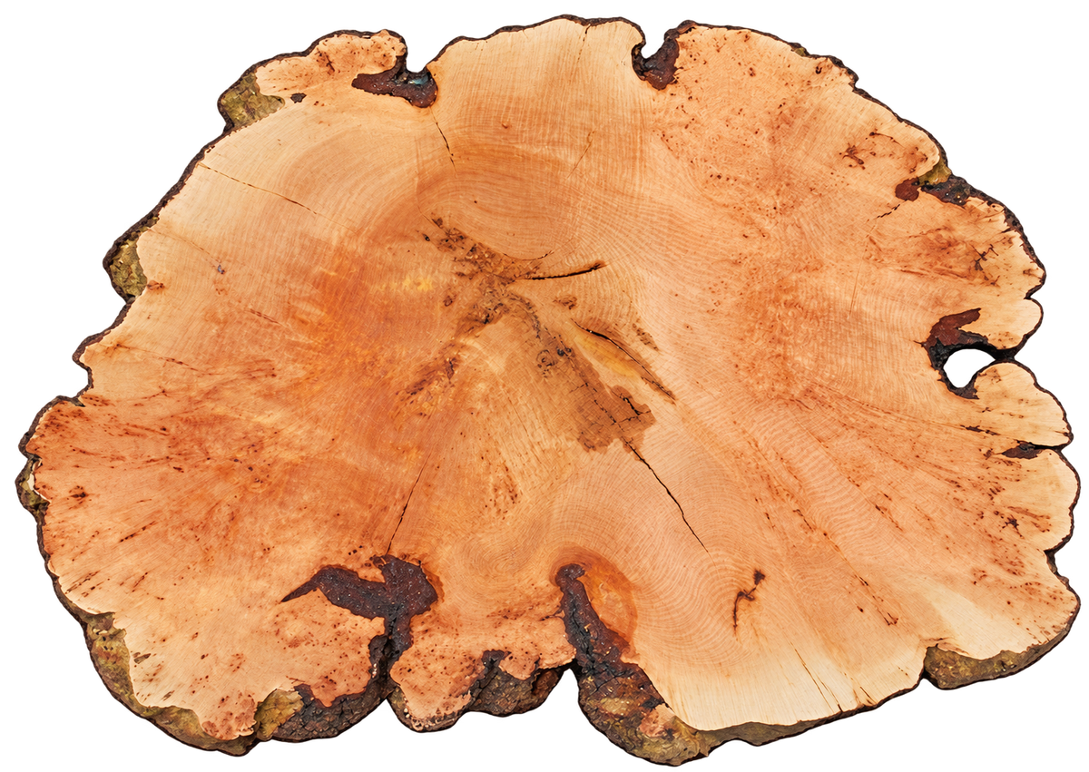 Fir Burl Live Edge #06792