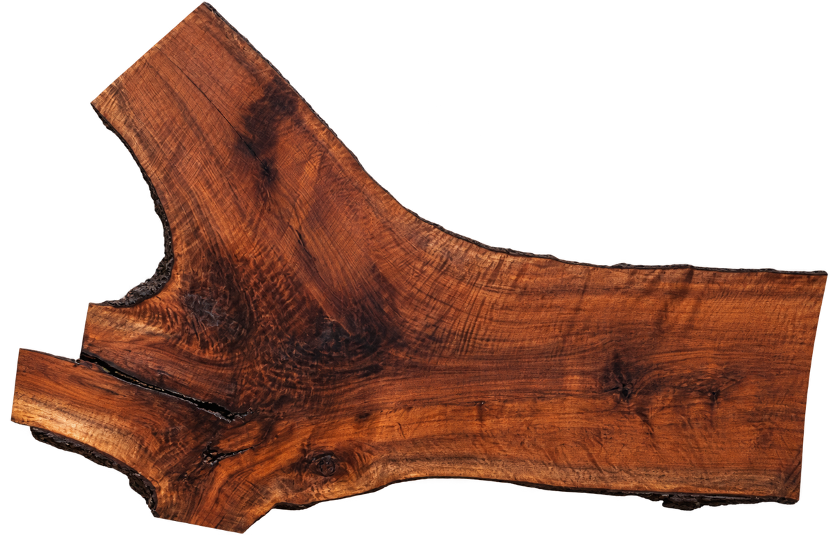 Claro Walnut Slab #17720