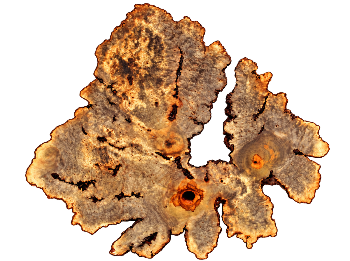 Buckeye Burl Live Edge #011