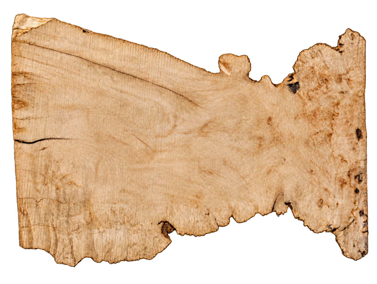 Maple, Box Elder Live Edge #018