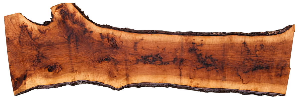 Claro Walnut Slab #17630