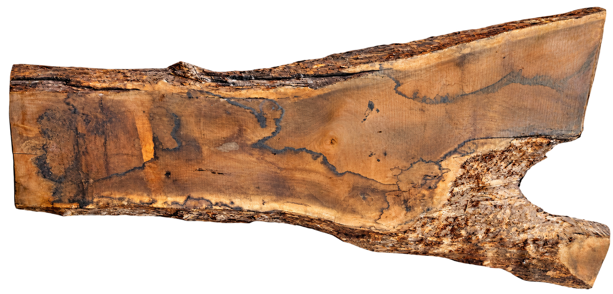 Claro Walnut Live Edge #05224