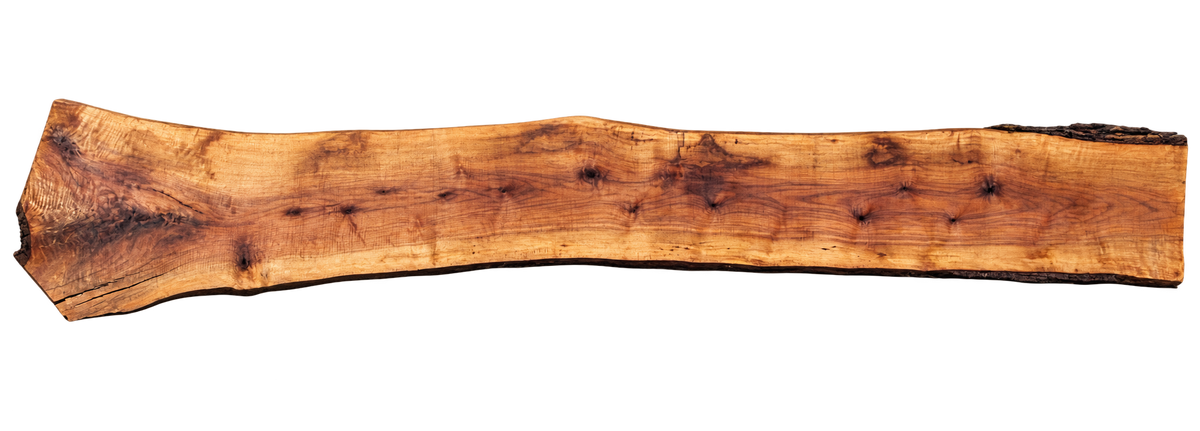 Claro Walnut Slab #17699