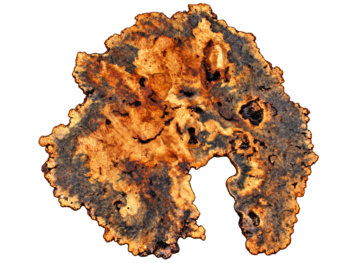 Buckeye Burl Live Edge #013