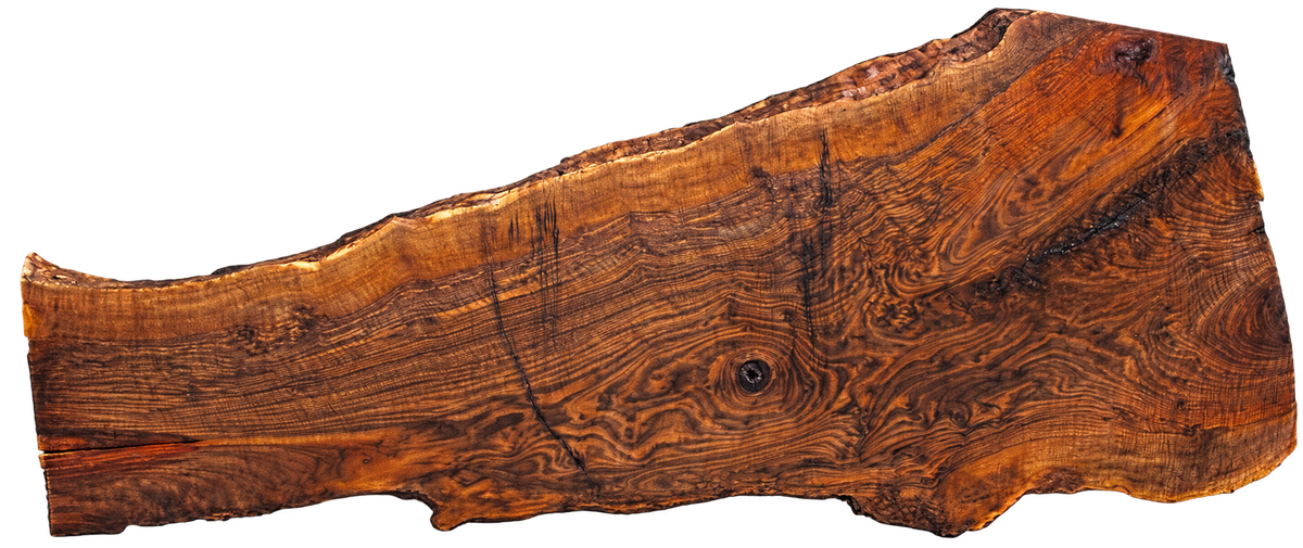 Bastogne Walnut Slab #06549