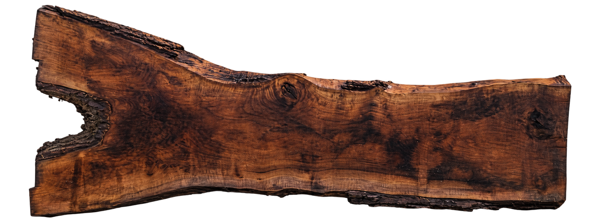 Claro Walnut Slab #17669