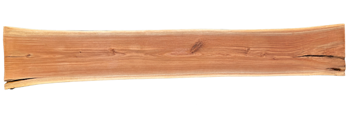 Black Walnut 8/4 Live Edge #550