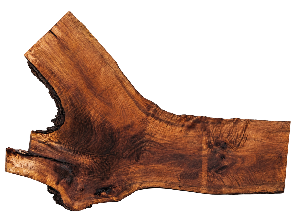 Claro Walnut Slab #17721