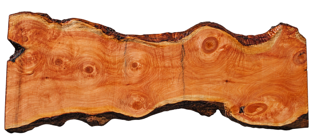 Spruce Live Edge #08250