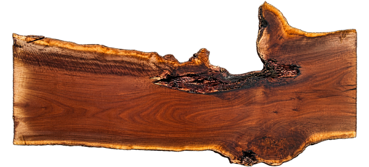 Claro Walnut Live Edge #05652