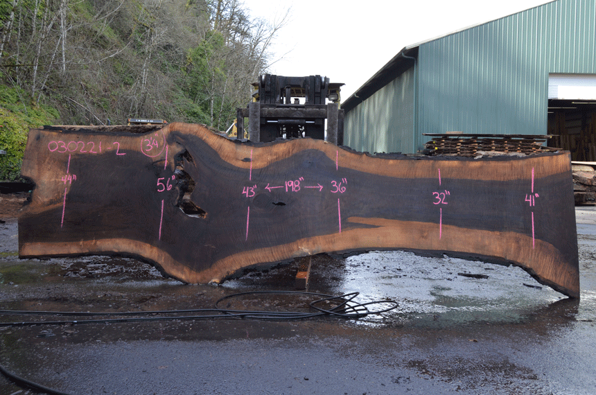 Black Walnut Live Edge #030221-02