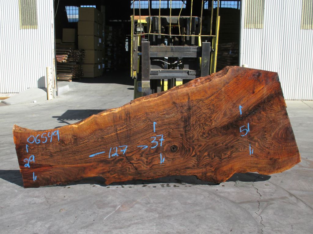 Bastogne Walnut Slab #06549