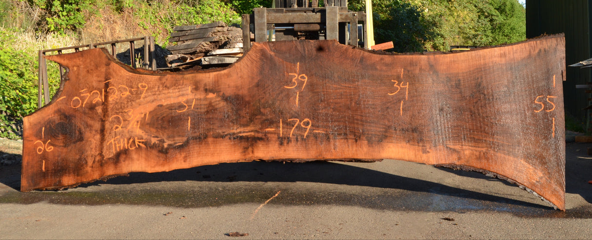 Black Walnut Live Edge #072122-09