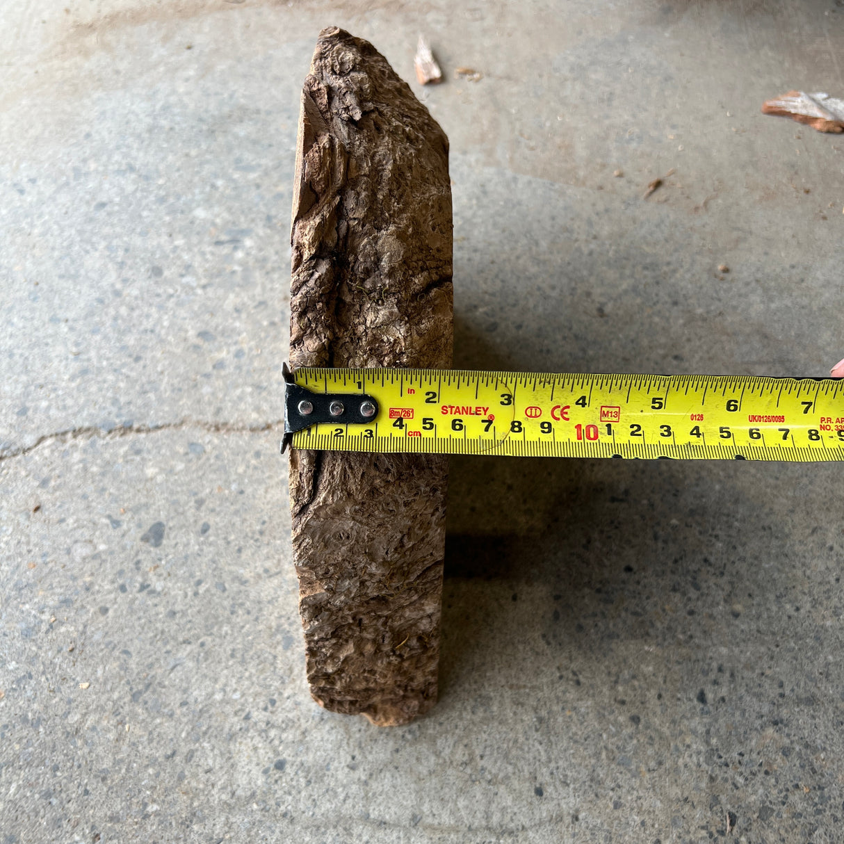 Ash Burl 9”x7”x2”