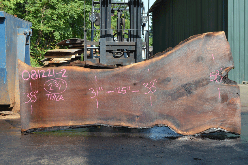 Black Walnut Live Edge #081221-02