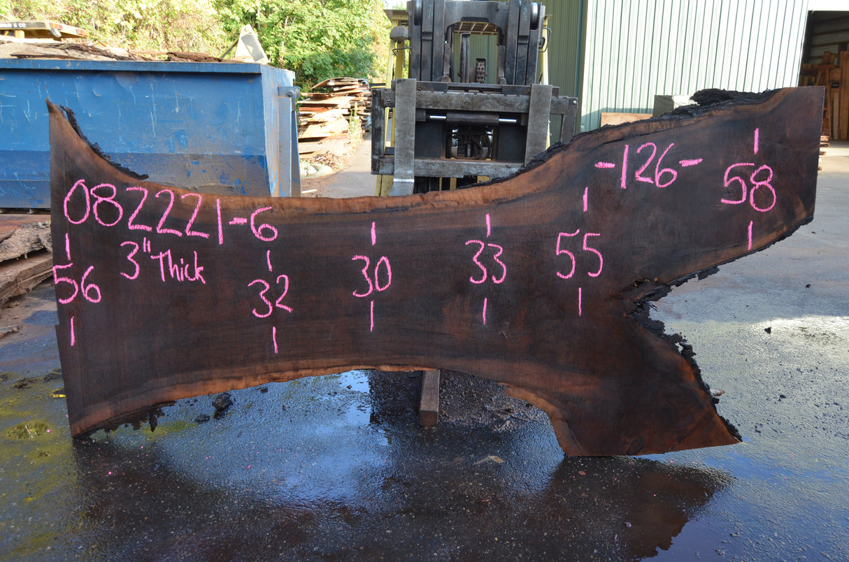 Black Walnut Live Edge #082221-06