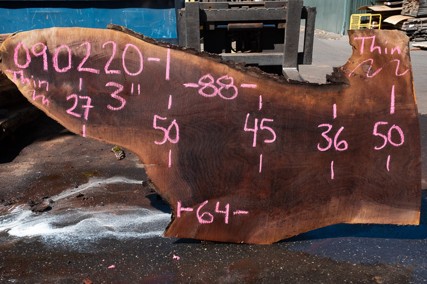 Black Walnut Live Edge #090220-01