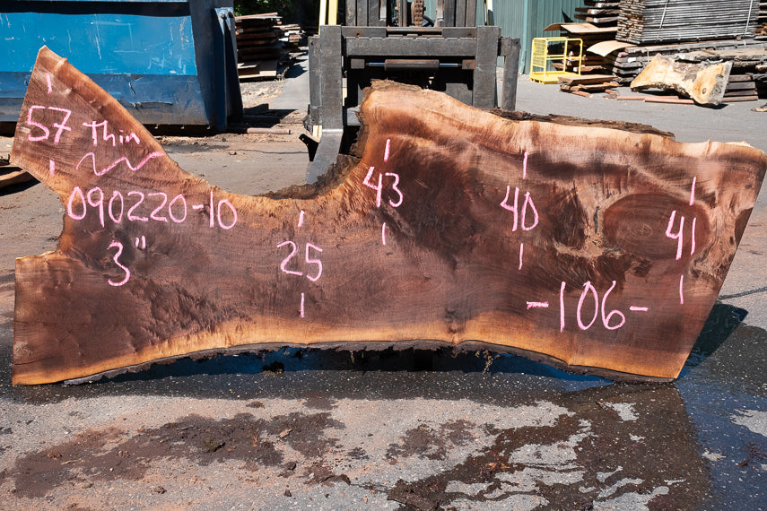 Black Walnut Live Edge #090220-10