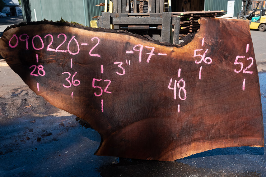 Black Walnut Live Edge #090220-02