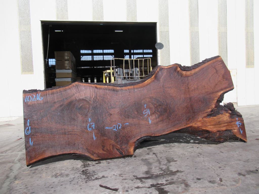 Claro Walnut Slab #10216