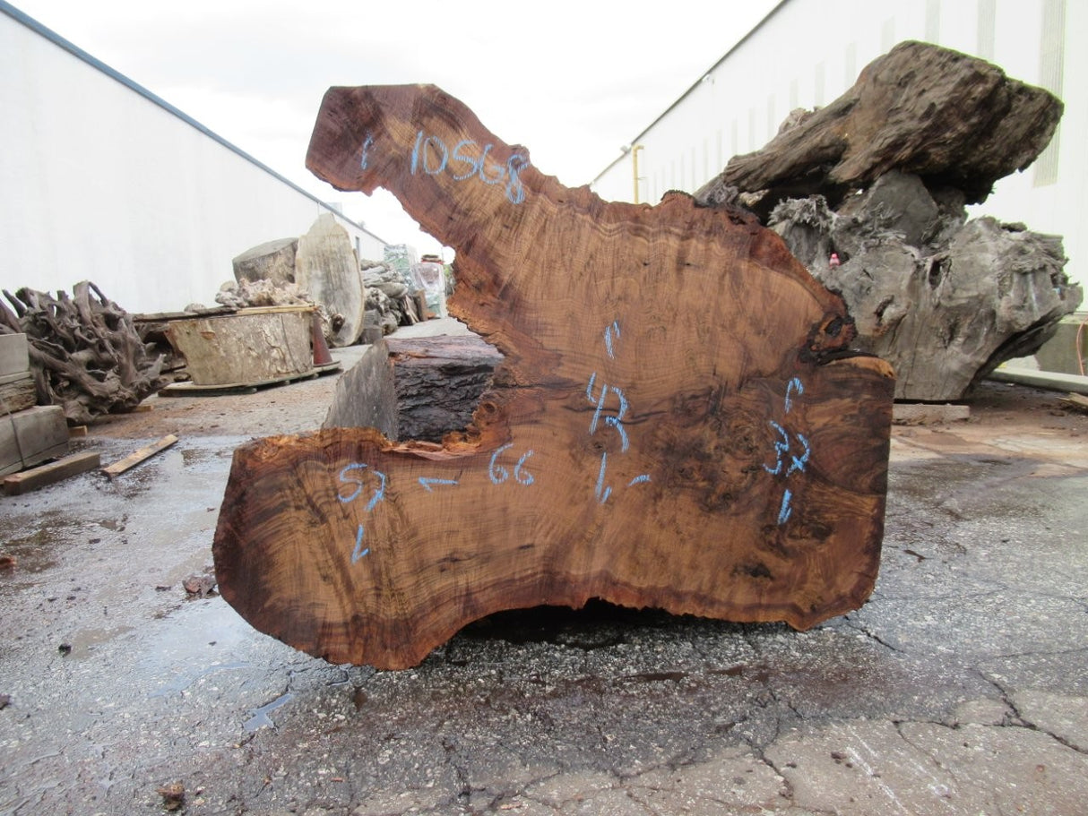 Claro Walnut 12/4 Live Edge #083