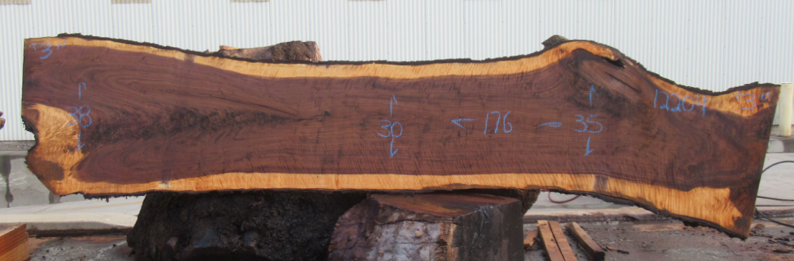 Claro Walnut Live Edge #12204